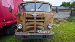 20250208-Lewiszong-00537